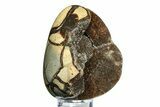 Septarian Dragon Egg Geode - Sparkly Black Crystals #308811-1